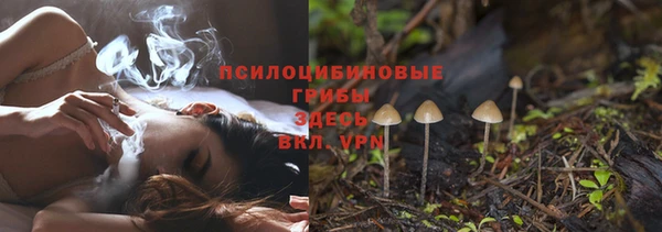 трава Медногорск
