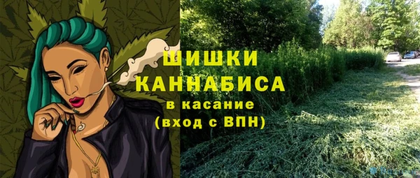 мдпв Мегион