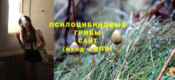 мдпв Мегион