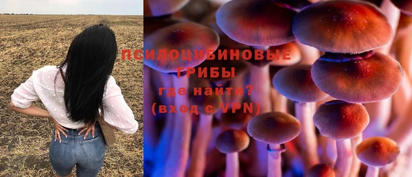 мдпв Мегион
