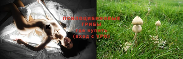 твердый Михайловск