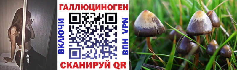 Галлюциногенные грибы Cubensis  Находка 